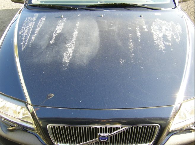 paint failure volvo hood